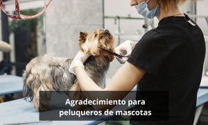 Agradecimiento para peluqueros de mascotas