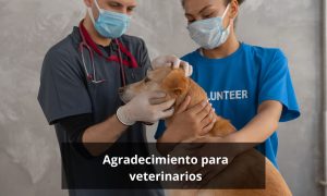 Agradecimiento para veterinarios