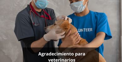Agradecimiento para veterinarios